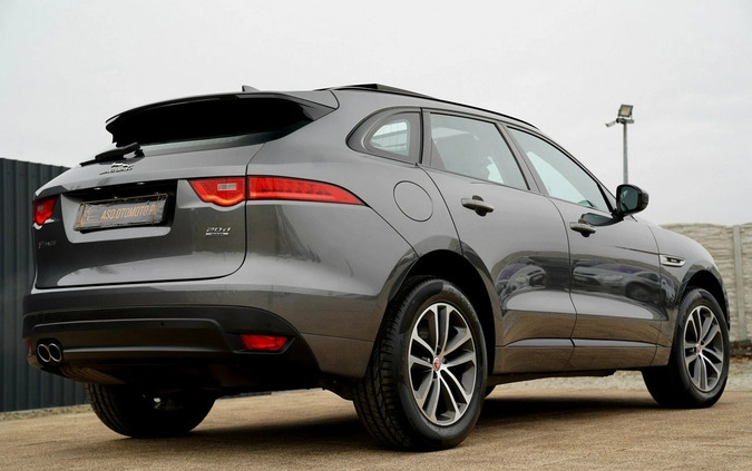 Jaguar F-Pace cena 104700 przebieg: 120157, rok produkcji 2019 z Otmuchów małe 781